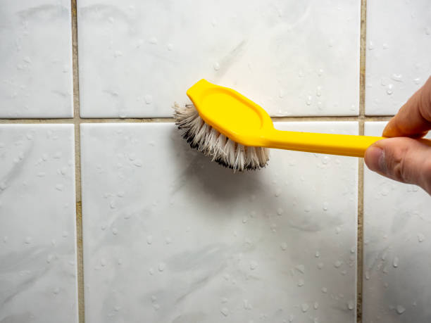 Best Mold Removal Company Near Me  in Highland Rk, PA