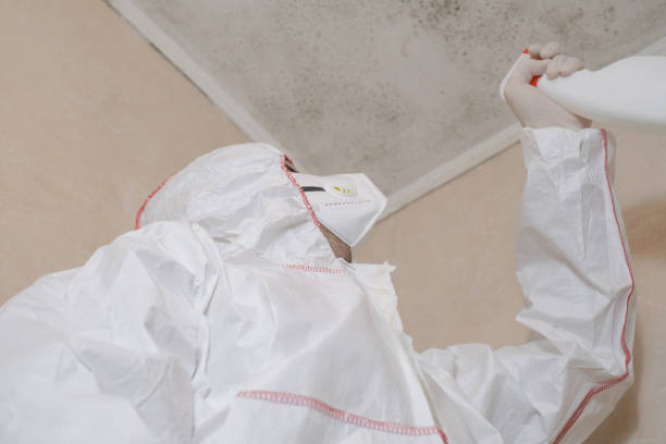 Best Crawl Space Mold Removal  in Highland Rk, PA